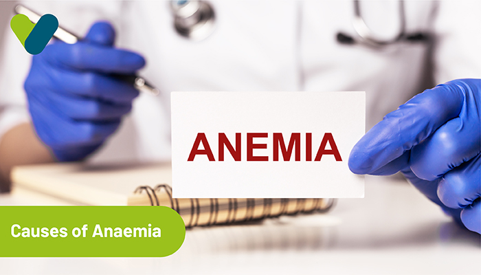 Causes Of Anaemia: Causative Agents Of Anaemia For Prevention| Livlong